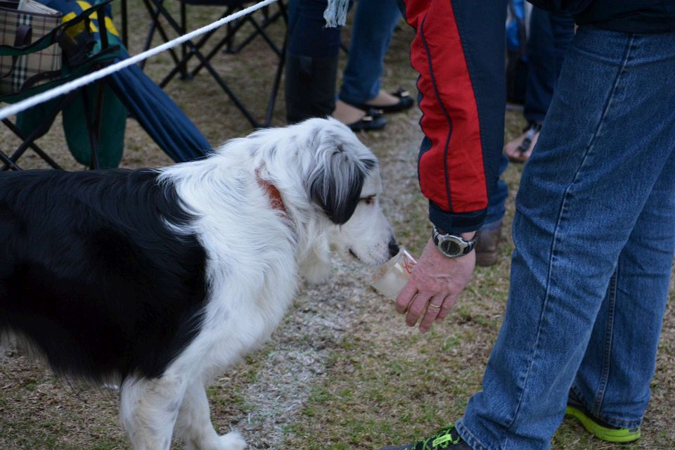aw-dsc-0543-1920