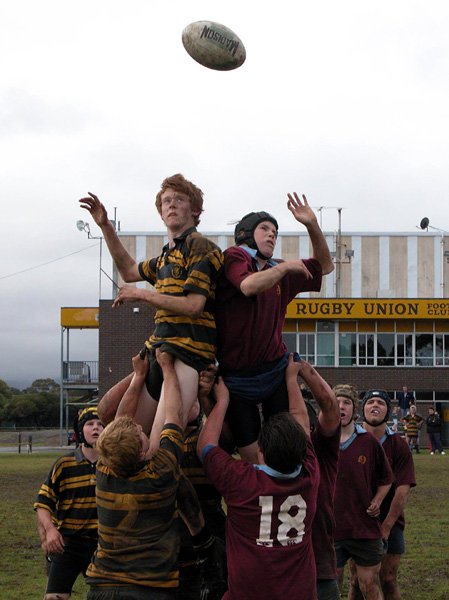 U15vBrtnGold Andrew