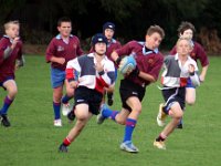 2006