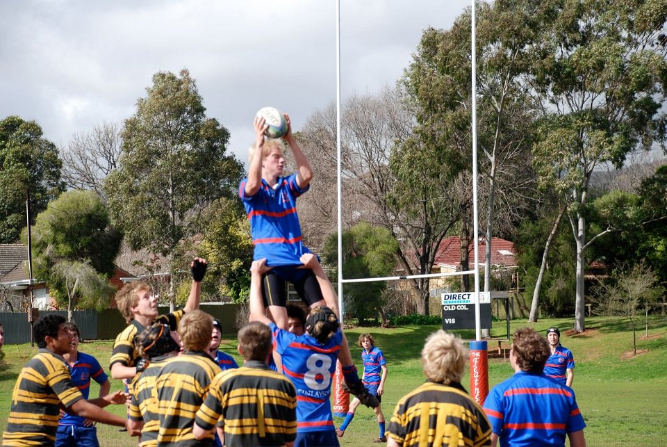 u16-dalewakeham