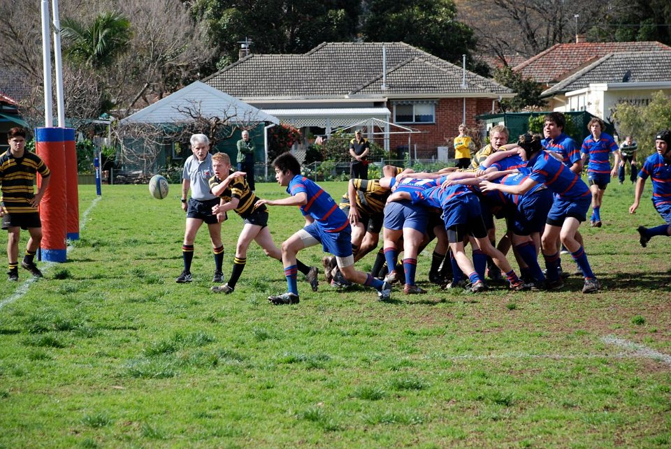 u16-vernlee