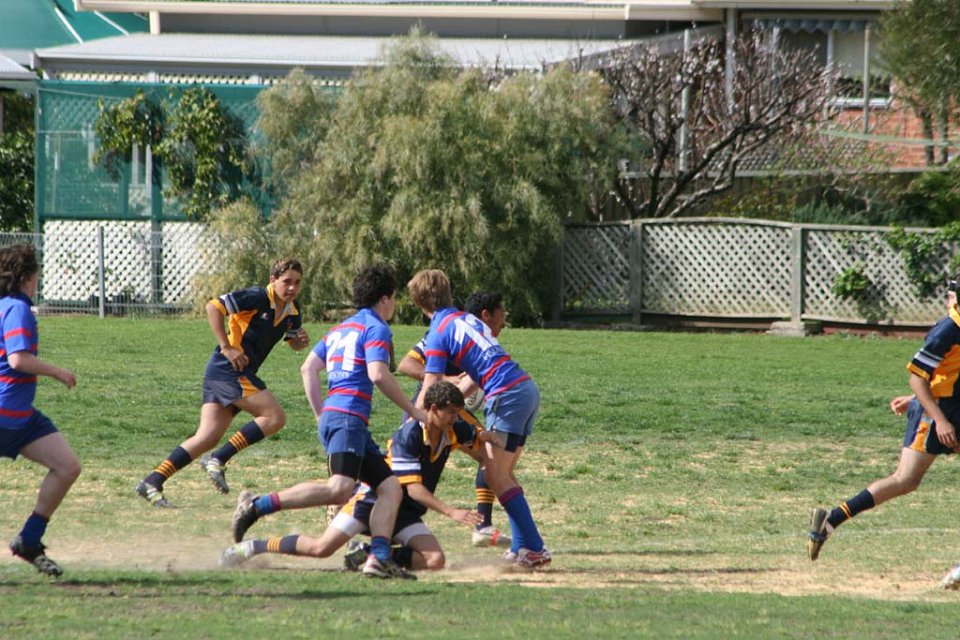 IMG 0919