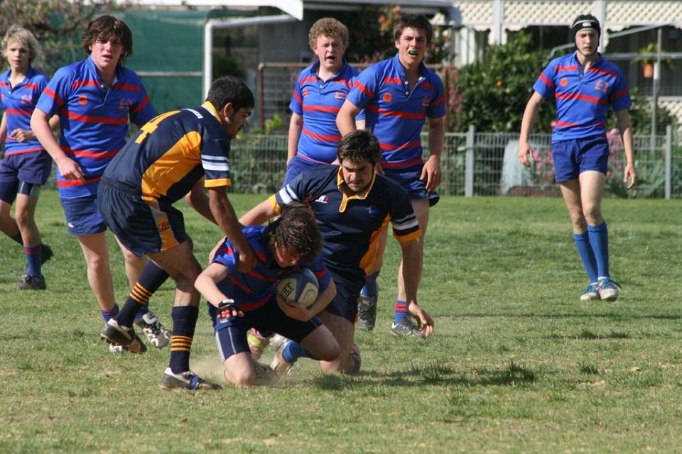 IMG 0939