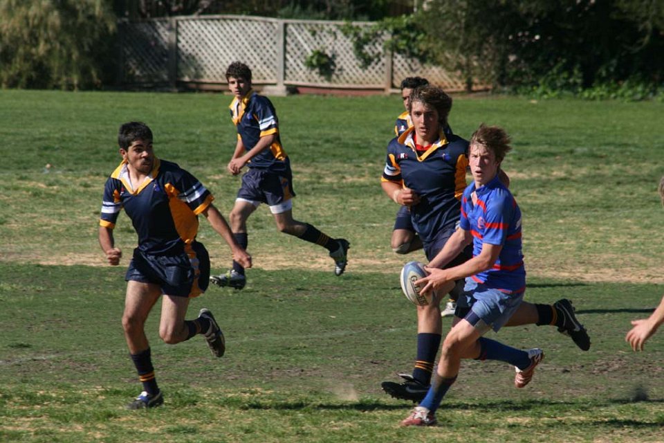 IMG 0953