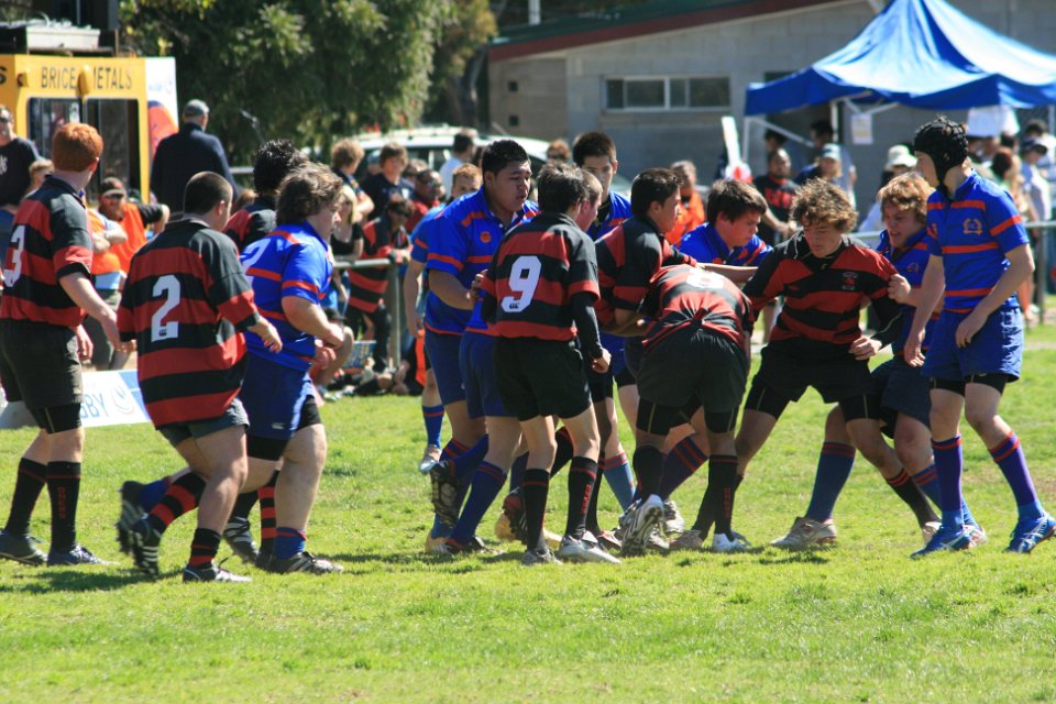 IMG 2762