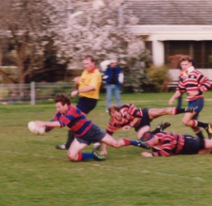 try-ted-referee