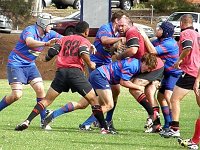 7s-training