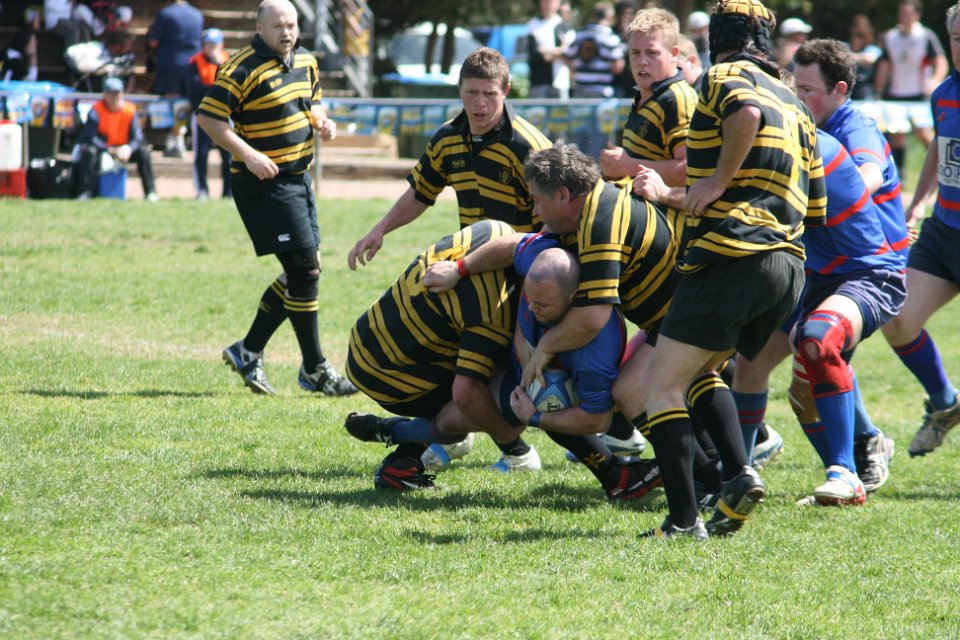 IMG 3137