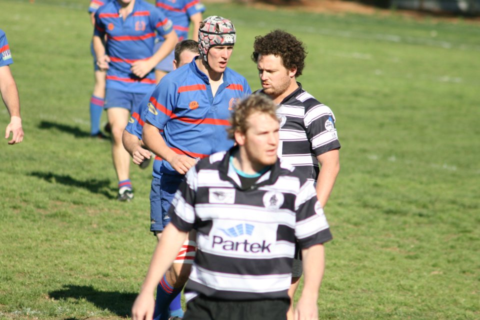 IMG 2974