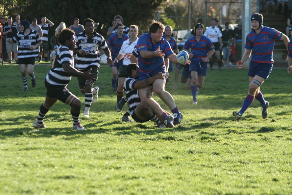 IMG 3086