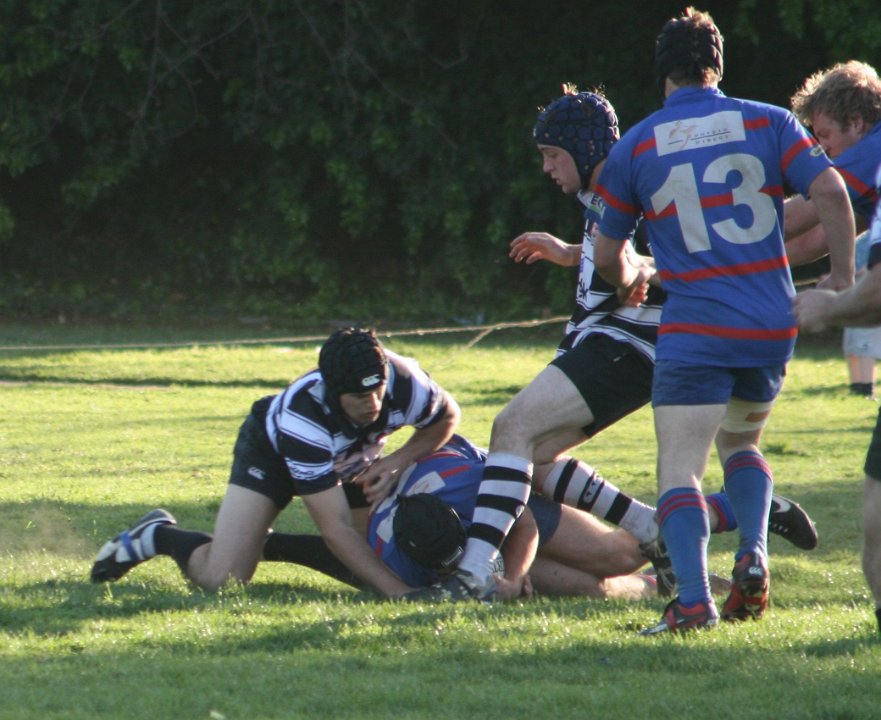IMG 3099