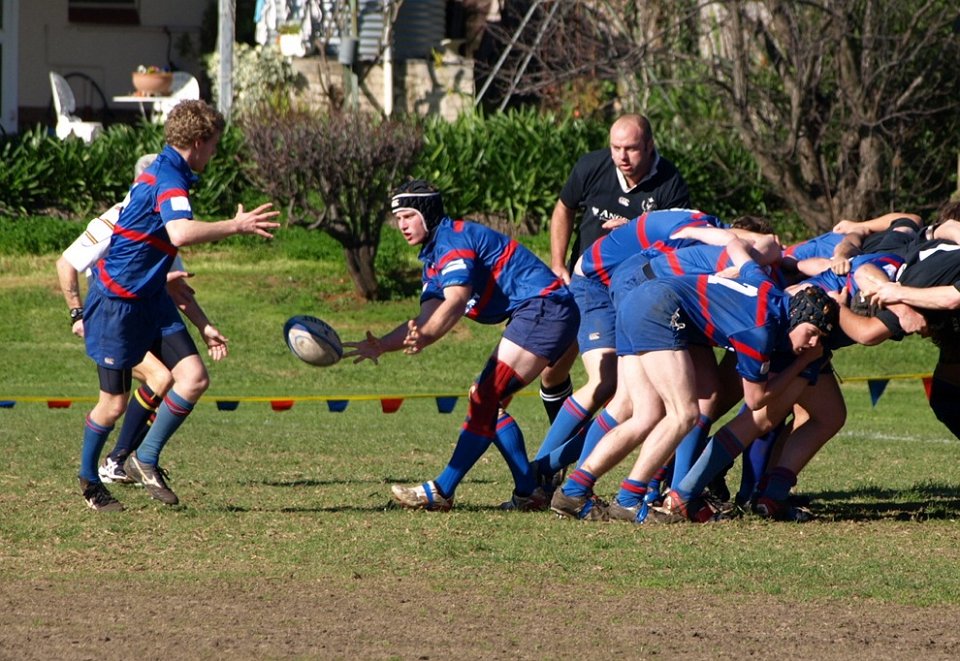 2nds-7255330