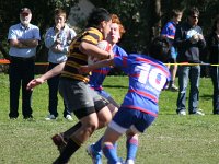 juniors-colts