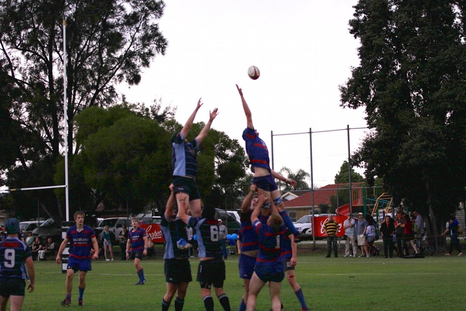 dm-gf 2011 005