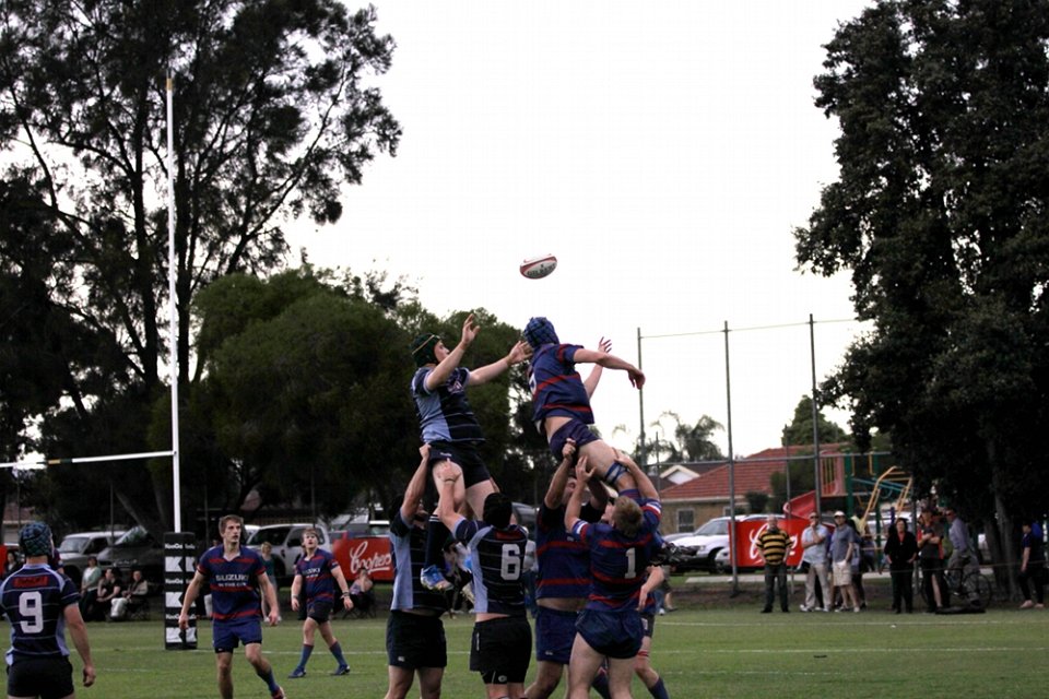 dm-gf 2011 006
