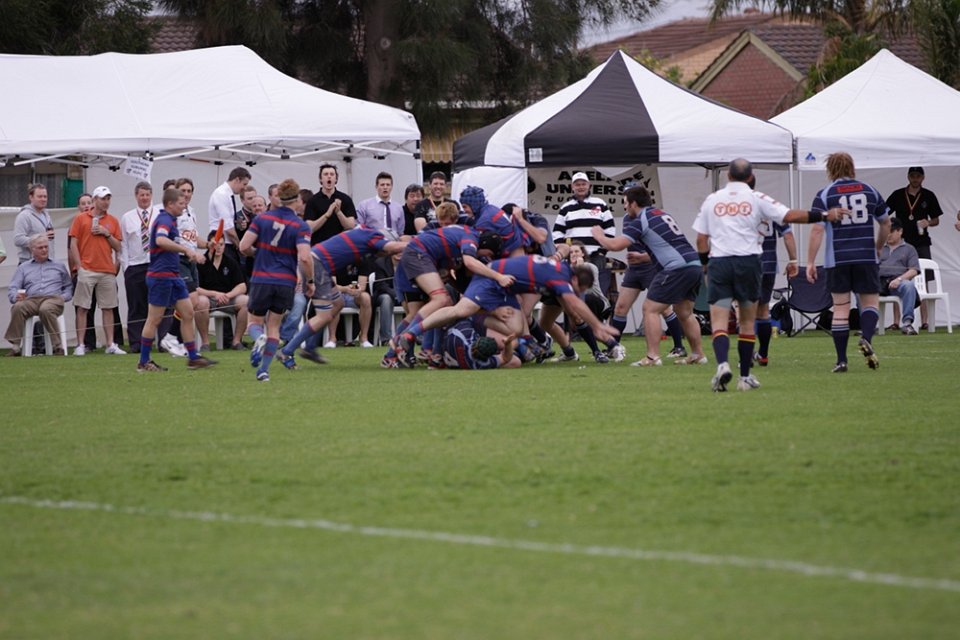 dm-gf 2011 012