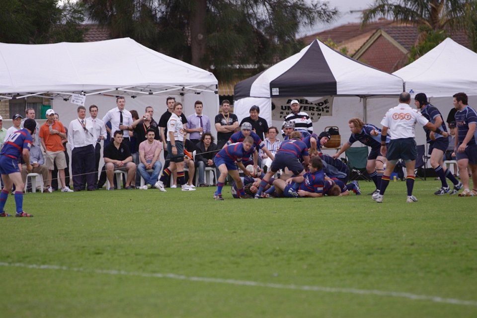 dm-gf 2011 013