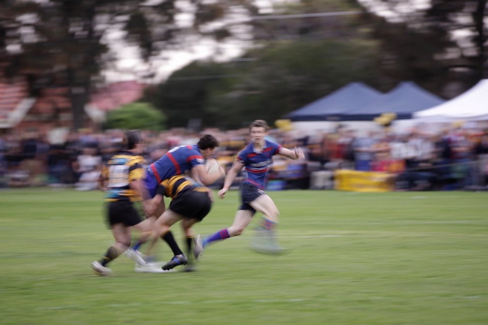 dm-gf 2011 030