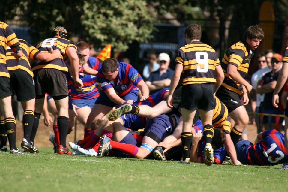 IMG 3170-1920