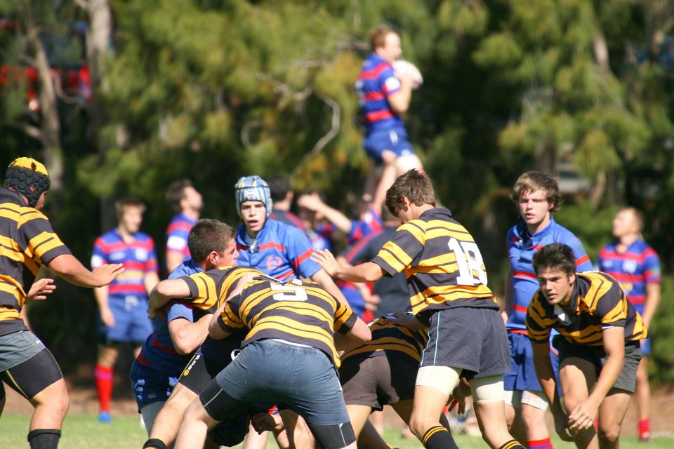 IMG 3136-1920
