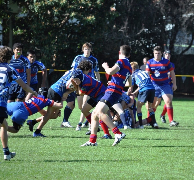 DSC 0165