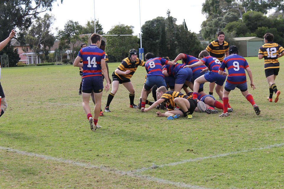 IMG 1454-1920